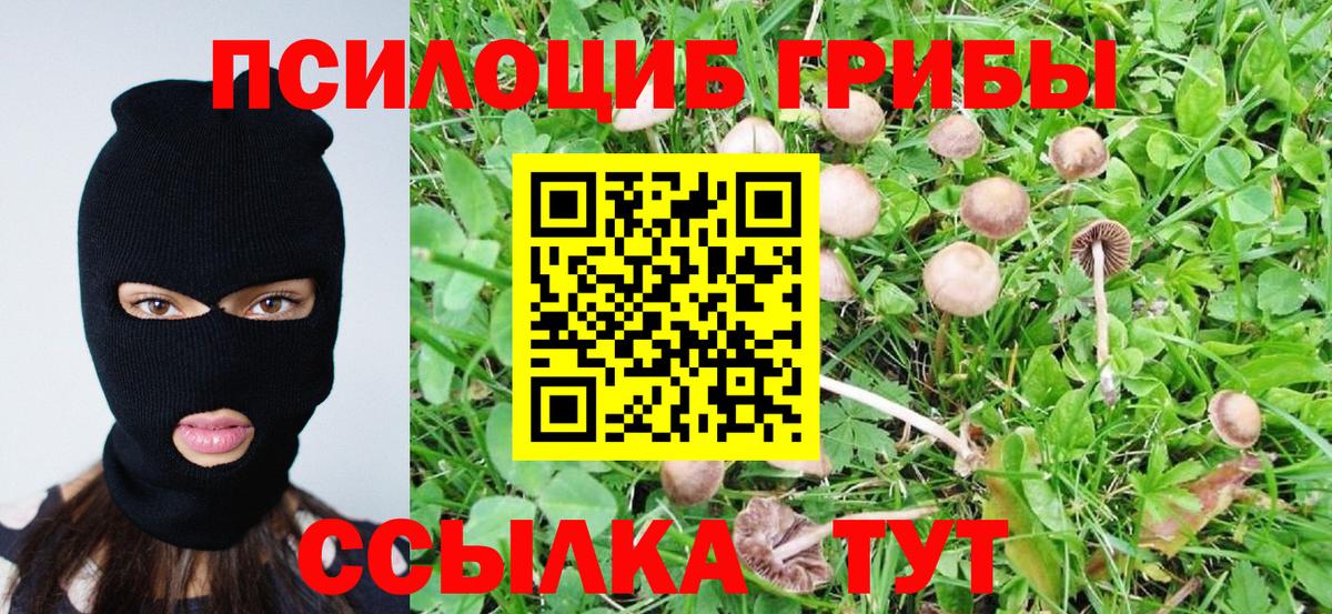 Якутск  Псилоцибиновые грибы GOLDEN TEACHER  наркота  Вход с VPN 